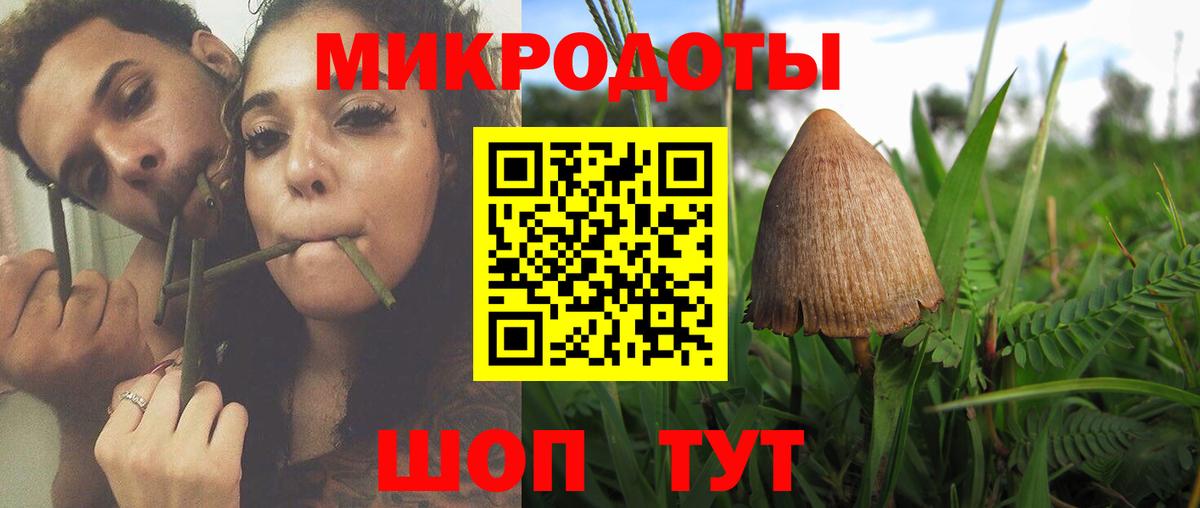Орск  Псилоцибиновые грибы прущие грибы  Псилоцибиновые грибы MAGIC MUSHROOMS  Вход с VPN 
