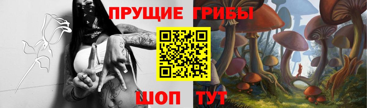 Псилоцибиновые грибы прущие грибы Орск